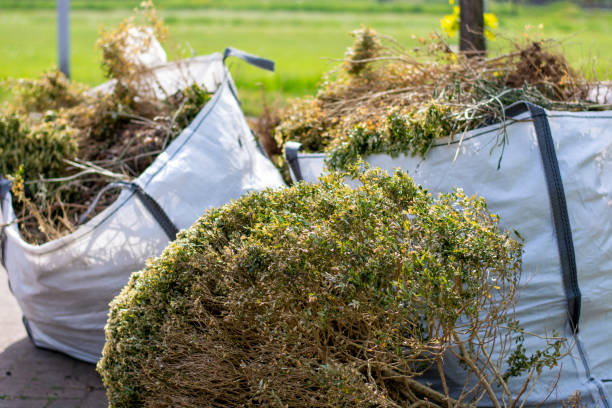 Best Junk Removal Near Me  in Clemson, SC