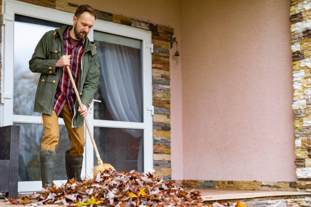 Best Basement Cleanout Services  in Clemson, SC
